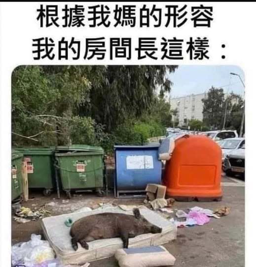 妈妈眼中你的房间​​​