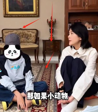 杨乐乐低调购艾草汪涵家别墅内部装修大曝光