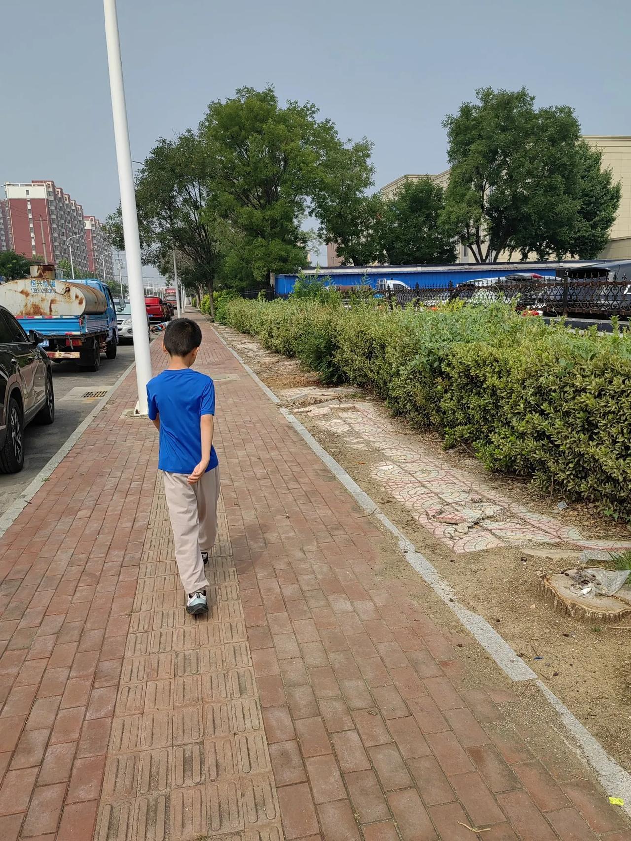 暑假带孙子逛超市，小小的举动，看得心里发酸小孙子放暑假来我家住了好几天，平
