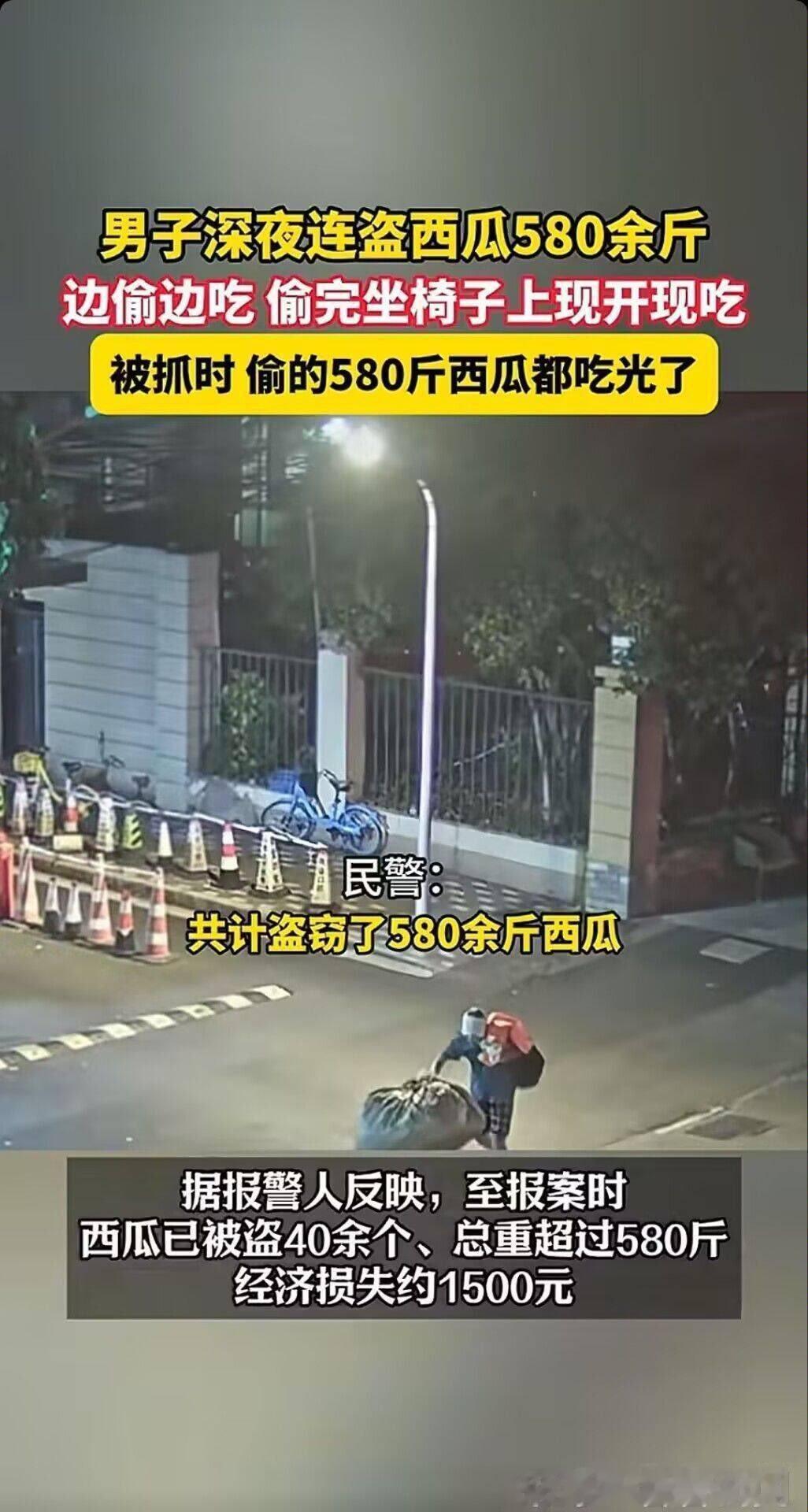 偷吃了580斤西瓜？​​​