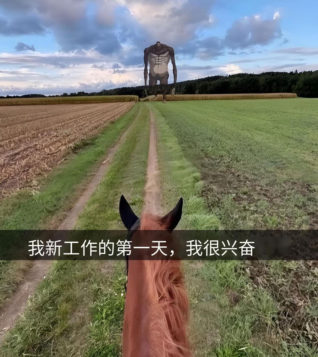 感觉我不会输[捂脸哭]#动漫#