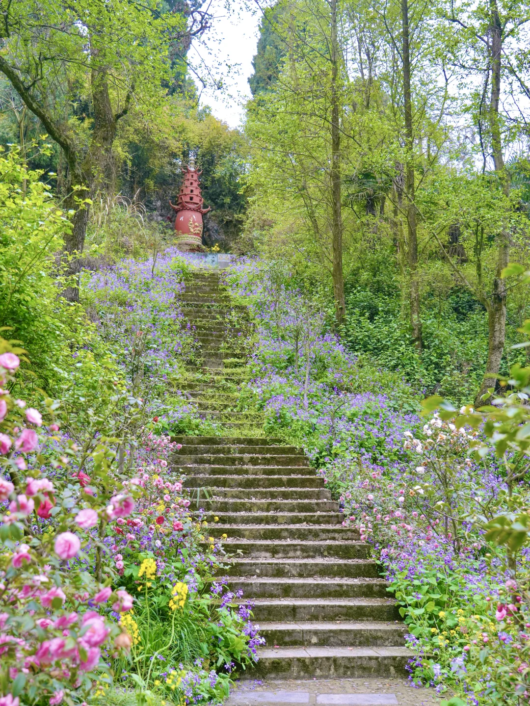 杀疯了！这条徒步路线的二月兰花海真的美哭…