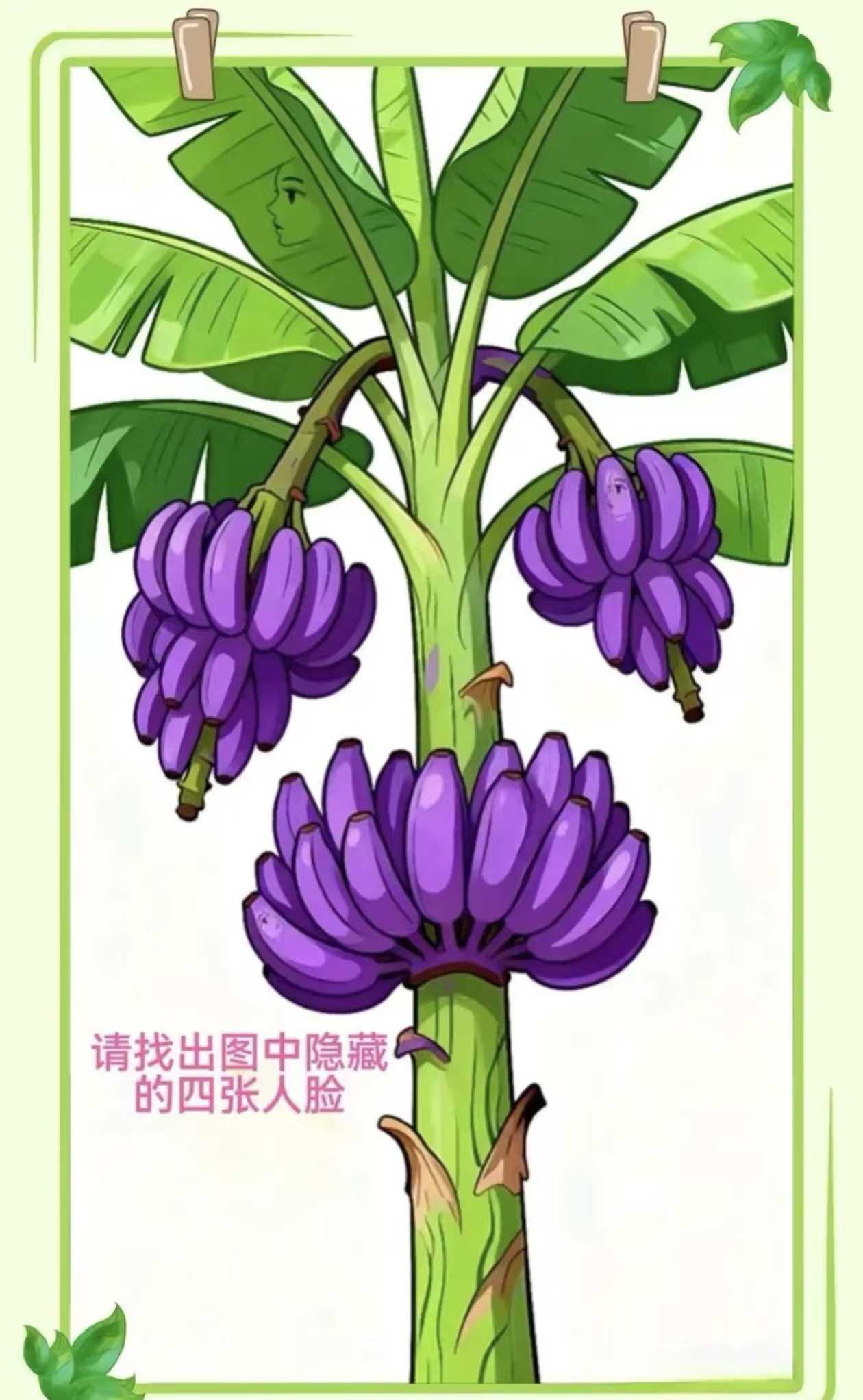 99%的人只找到2张脸！这棵香蕉树里藏了4张人脸，你找到几张