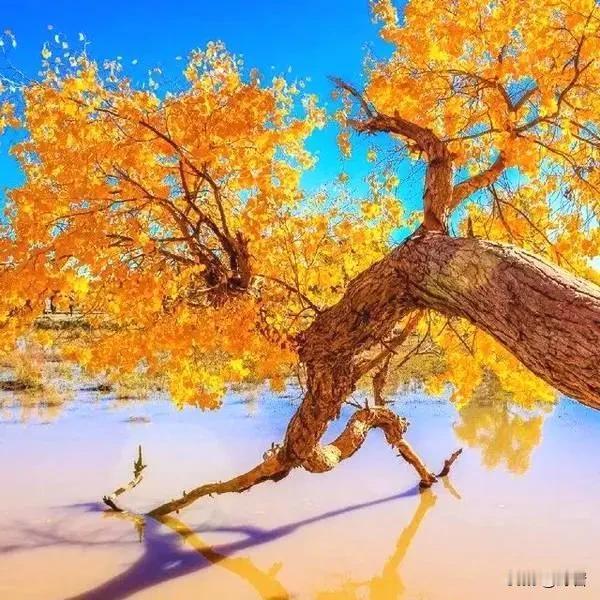 认知层次低的7个特征，看看你有没有中招1. 固执己见旁人好心提点，根本听