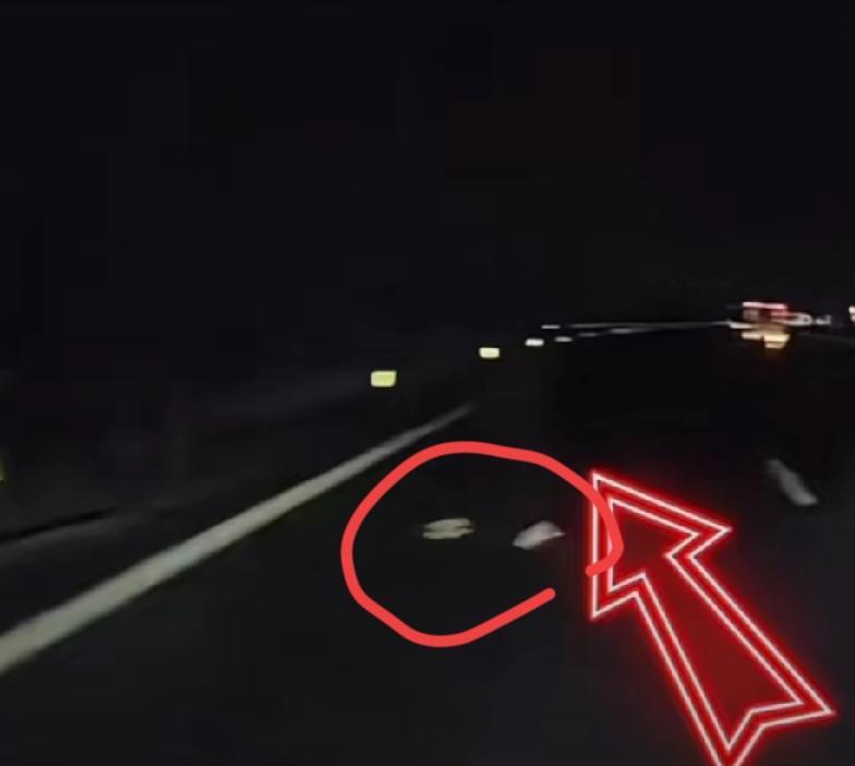 10月6号半夜，某网友在高速公路上，发现了惊人一幕。她没有打远光灯，时速开到1