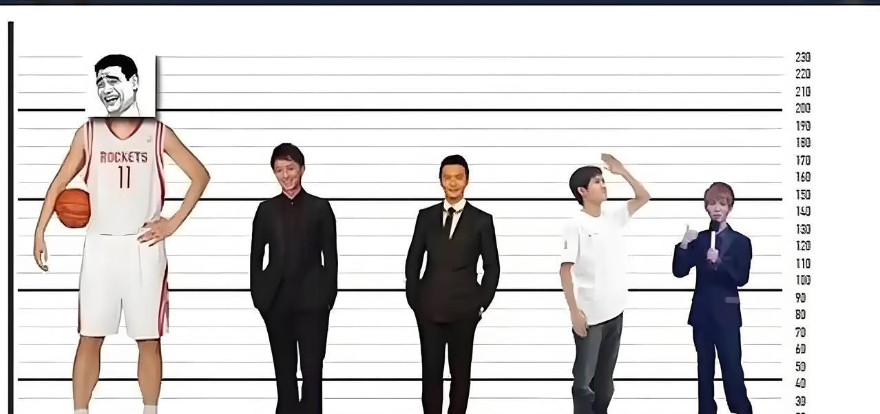 你是否达到平均数？我超过了！你是否拖后腿？成年男性平均身高：荷兰：182.5