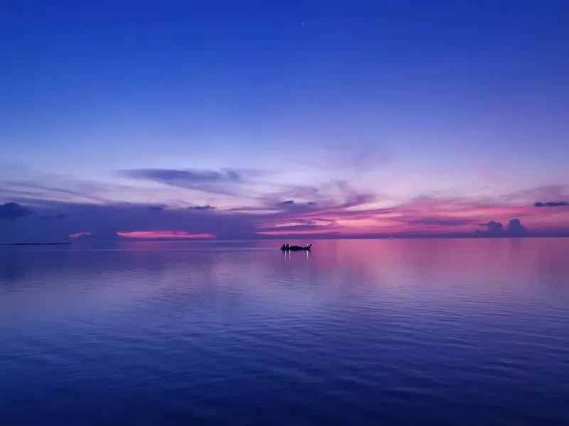 今早，我们小区又有人跳楼了。那人从十五层纵身一跃而下，当场就没了性命。听闻是因抑