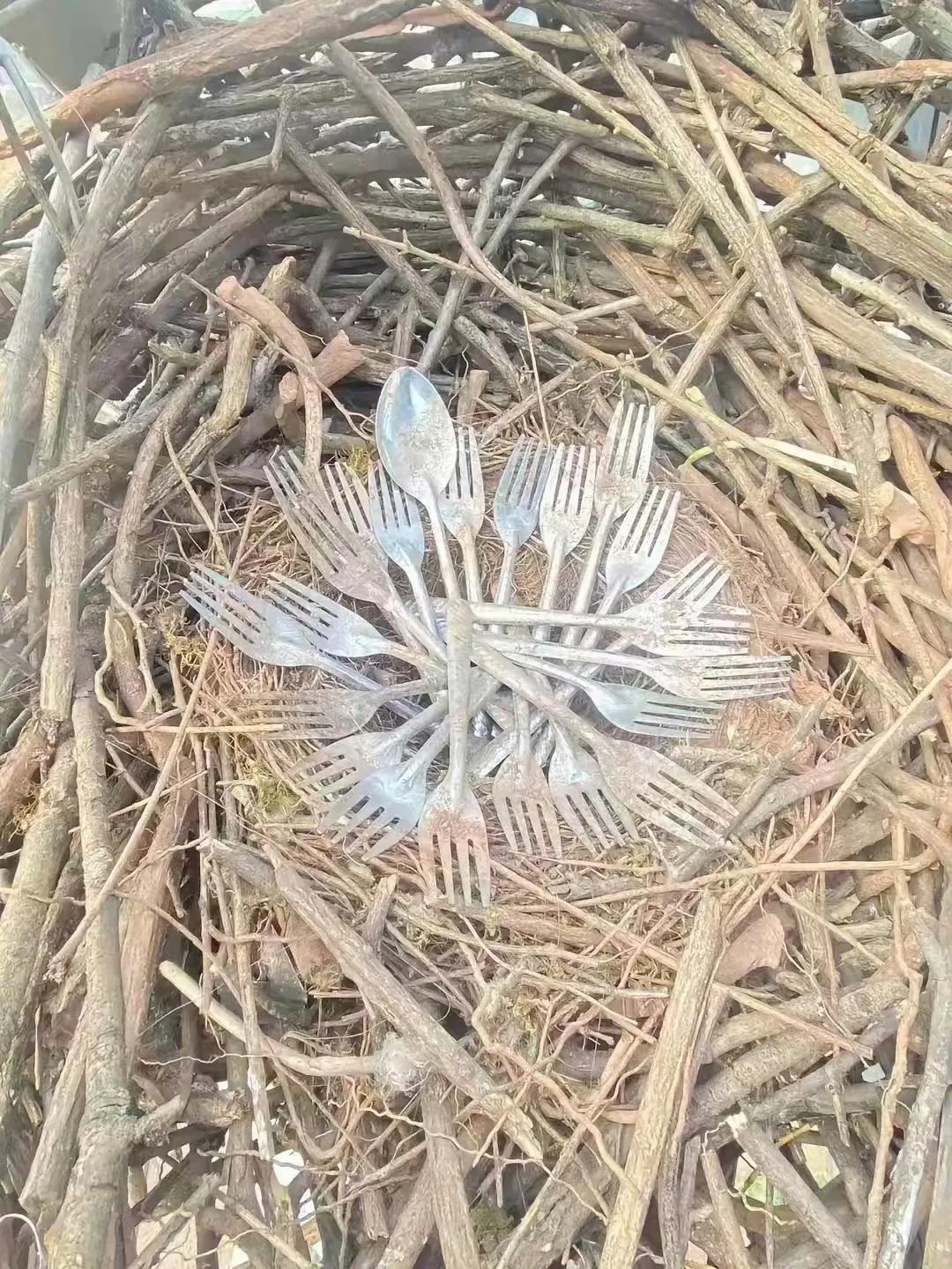 电力巡线工人拍的……