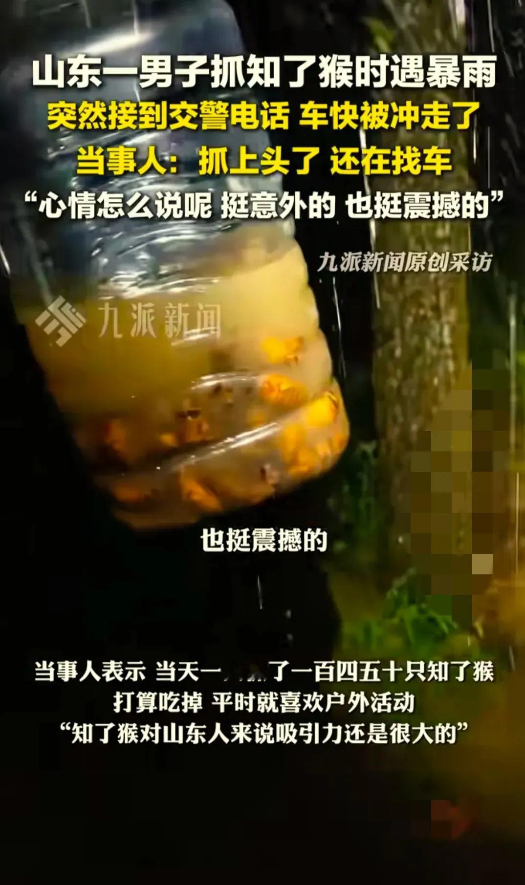家人们谁懂啊！山东一男子抓知了猴太上头，暴雨倾盆都阻挡不了他的热情