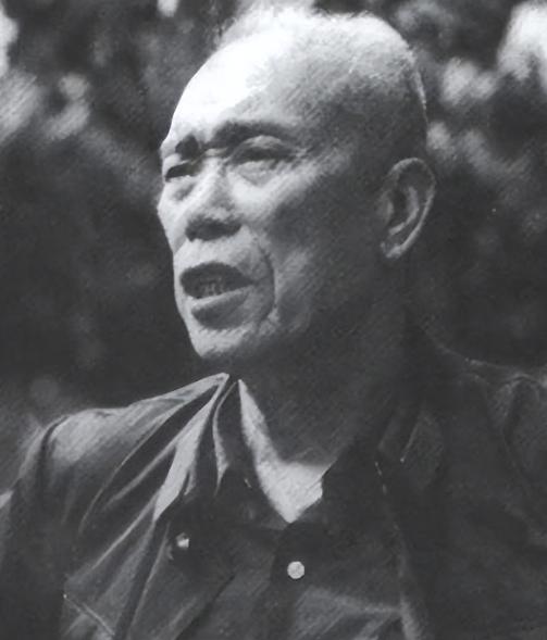 1971年，梁兴初到北京汇报工作，毛主席随口一句话，让他满心费解，返程之后找来秘