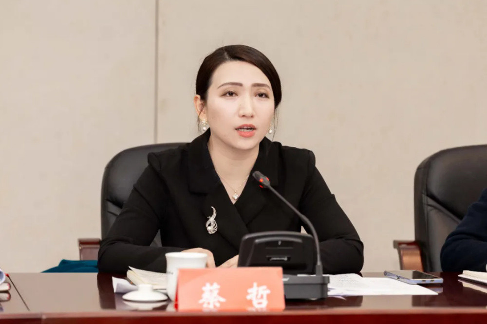 蔡哲任望城区委常委、副区长