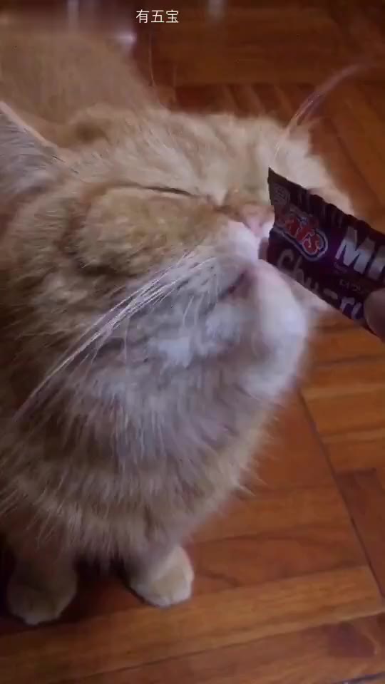 11156532489129949.jpg?id=0