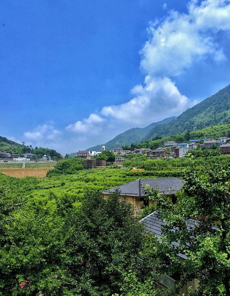 哇！比城市低7度的天然大空调，安吉夏天最凉快的神仙农家乐，就在上墅乡董岭，海拔1