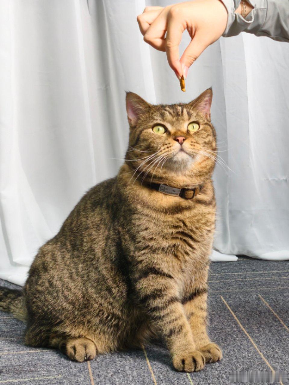 缺乏维生素D抑郁症状打工人想要晒太阳补充维生素D真的挺难每天到工位一座下班已经