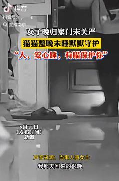 太有灵性了！新疆，一女子半夜回家时忘记关门，洗漱完后就去睡觉了，家里养的猫咪发现