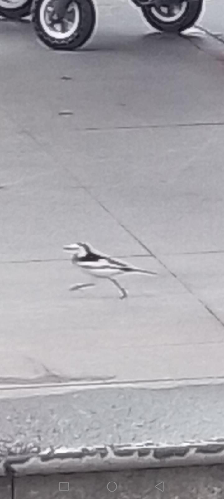 关于上一篇说男人想找个40岁女人照顾的说明：男人是有一万元退休金的，女儿远嫁了，