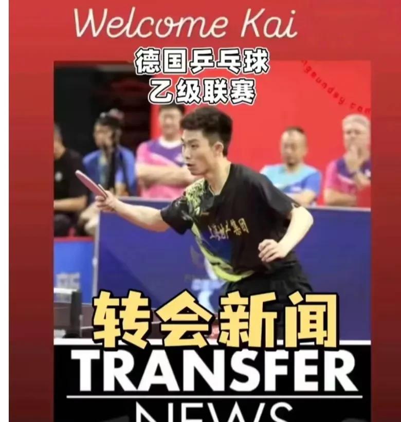 周恺留洋德国！既樊振东加盟德甲乒超联赛后，现在周恺也远走他乡加盟德乙联赛。德