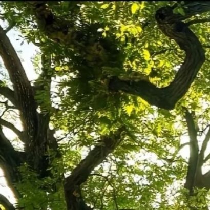 000000晨曦洒向山川，蝴蝶破茧于繁花间，海浪轻抚金沙，雄鹰掠过苍穹，万物生长