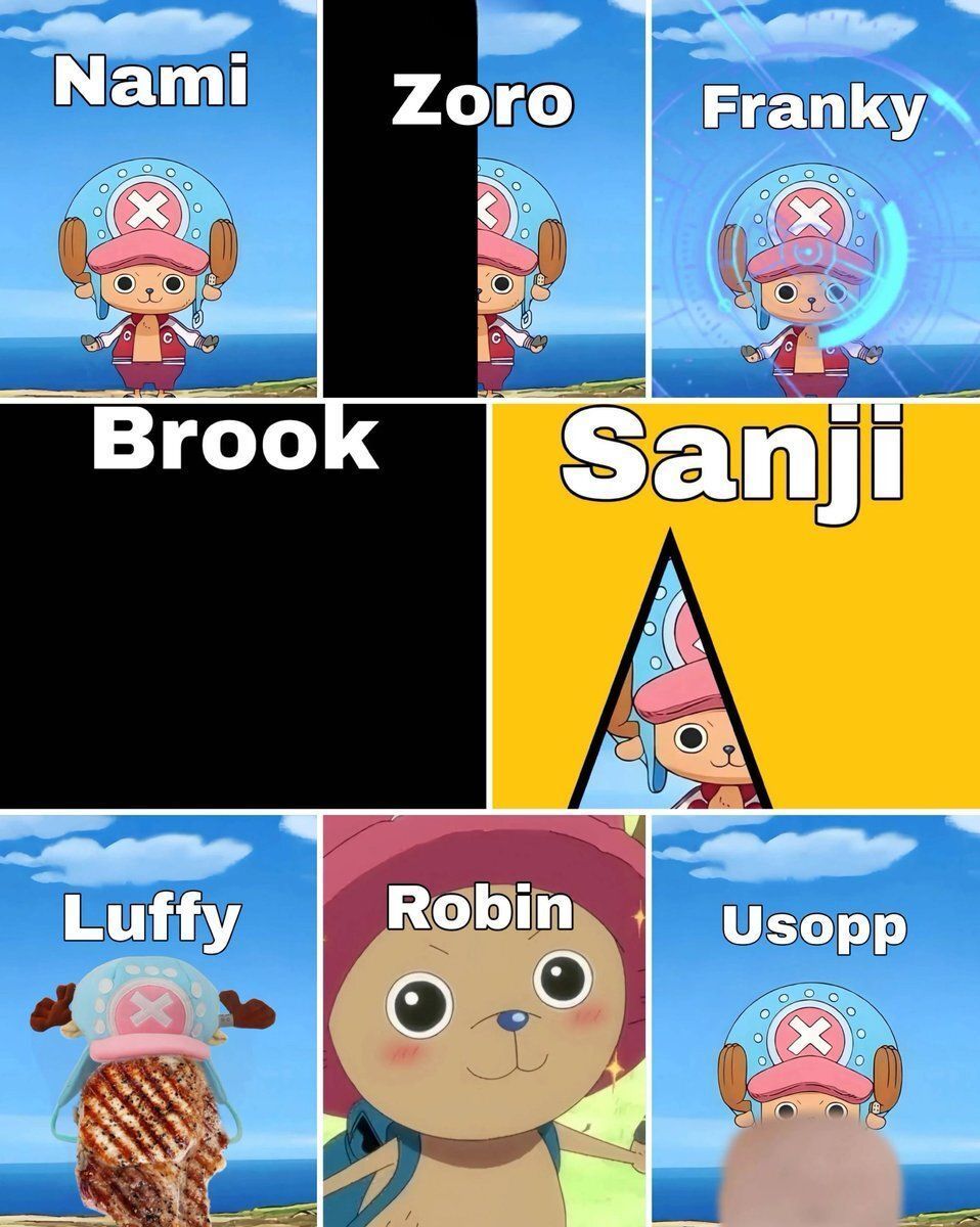 海贼王海贼王大家的第一视角看乔巴