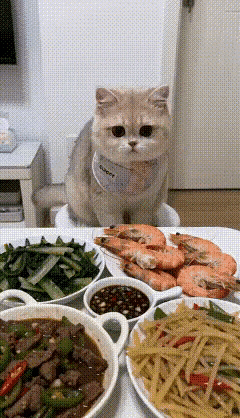 猫咪乖乖蹲在桌边板凳上，眼睛直勾勾盯着盘子里的大虾，馋得两眼发光。它悄悄伸