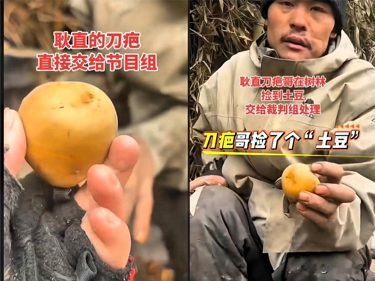 网友猜测是不是开始下套了？刀疤哥荒野求生时捡了个土豆，没敢私自带回，直接交给