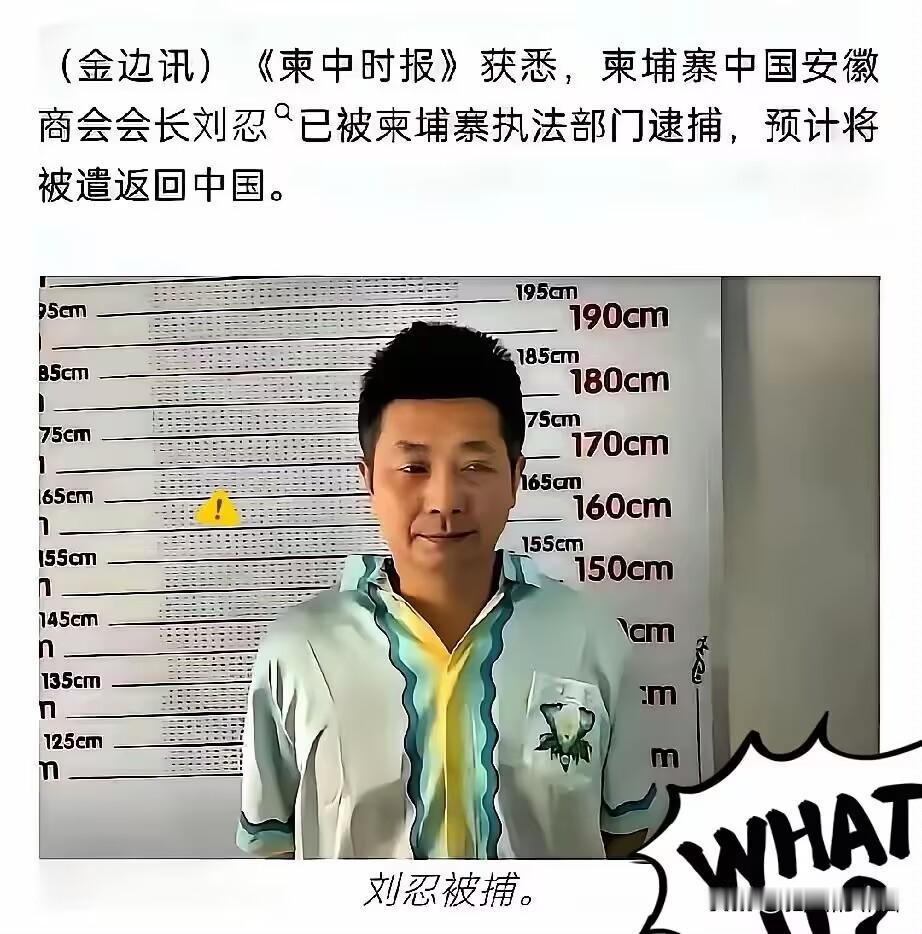 最可怕的内鬼终于浮出水面！柬埔寨电诈园区的幕后大佬，竟然是我们信任的商会会长。把