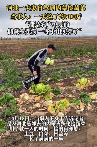 河北一对夫妻去内蒙古玩，发现路边地里有很多蔬菜、土豆，竟然直接跑地里捡，农户发现