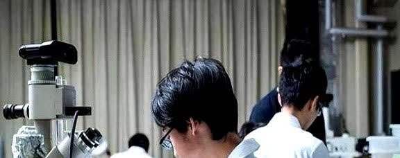 中国很少出诺贝尔科学家，那么中国这几年为什么科技大爆发了？打一个不恰当的比喻：当