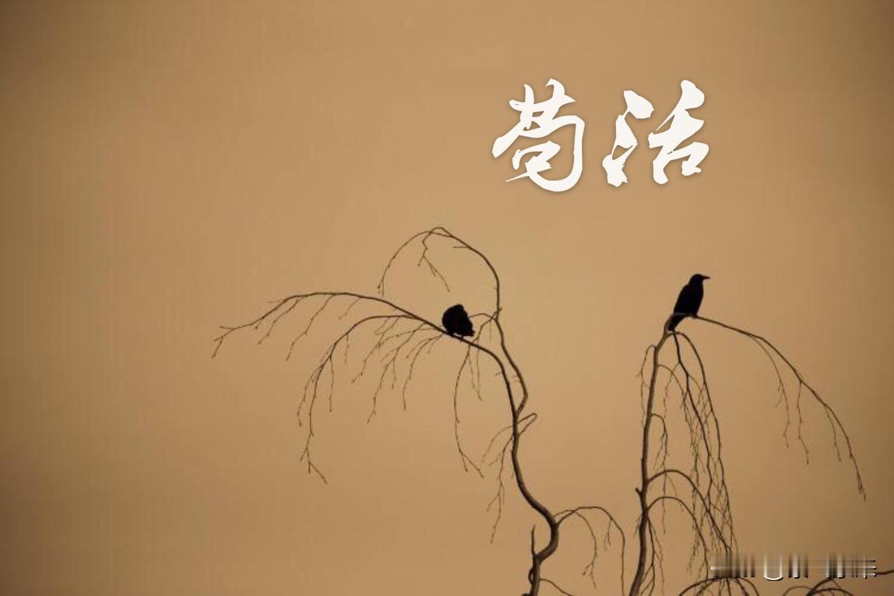 负债以后心力交瘁，无人诉说悲喜自渡，他人难悟给谁说都不合适，学会自愈