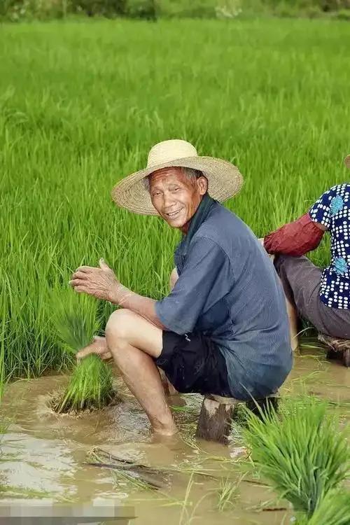 这才是真的滴水之恩，当涌泉相报！西安一农贸市场员工花3千元买了一位农民伯伯3万