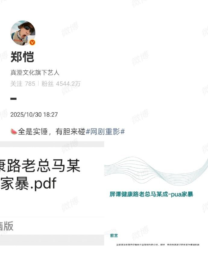 郑恺当上瓜主了万万没想到有天还能看到郑恺放瓜，这聊天记录和pdf，真有瓜主那味