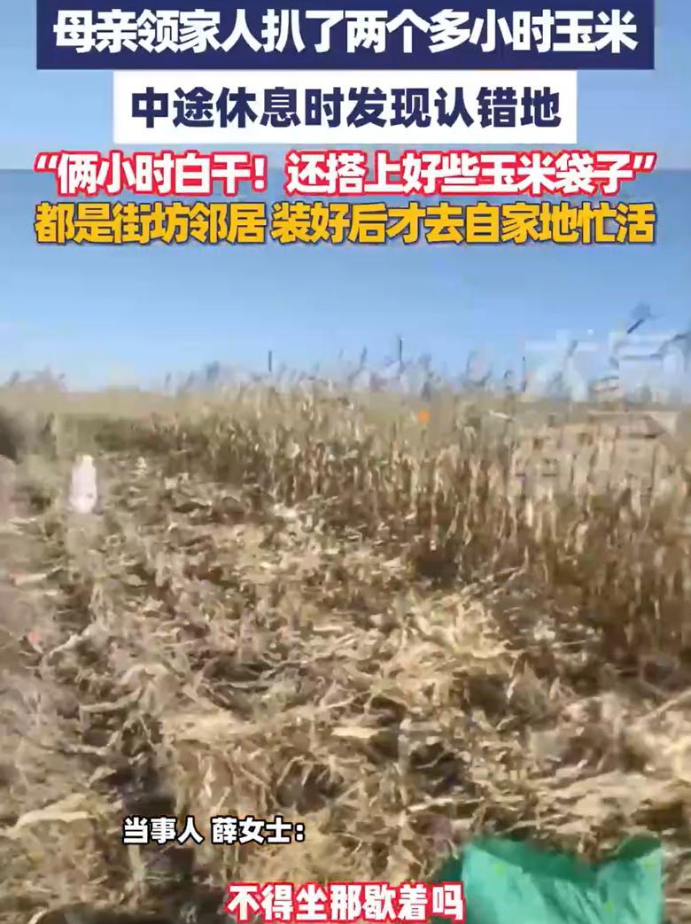 “最担心的事情还是发生了！”黑龙江齐齐哈尔，一家人假期到地里去掰玉米，干了整整两