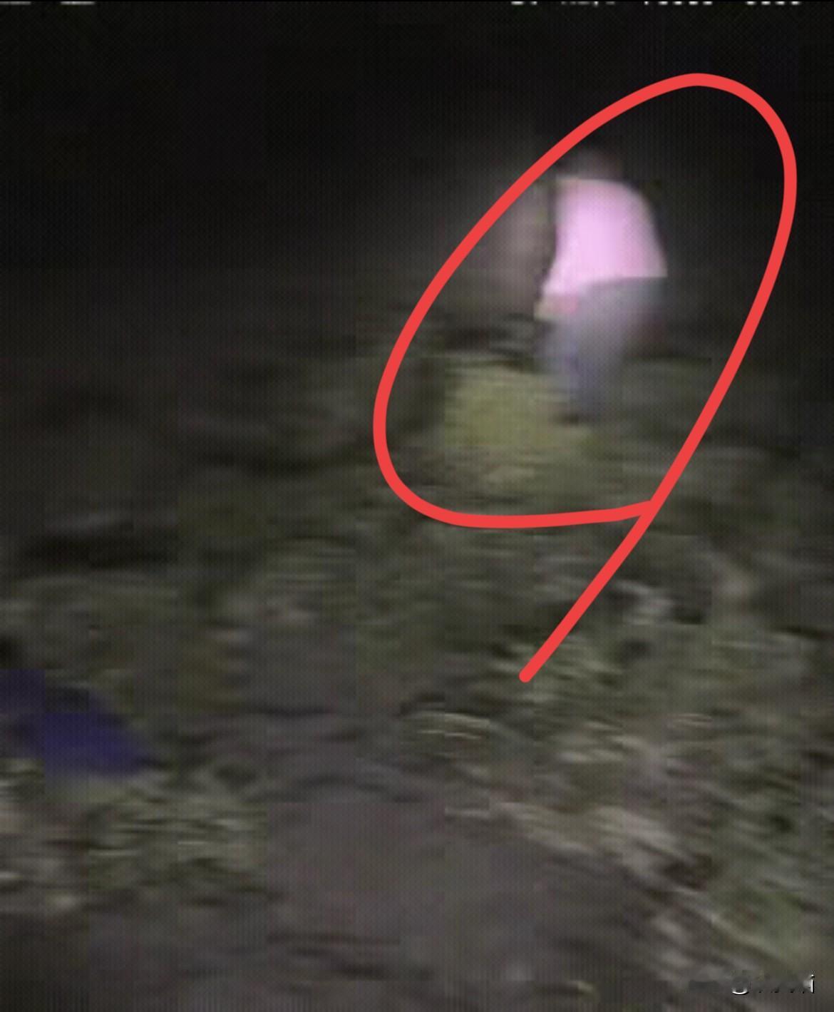 笑不活了！安徽这位大姐治偷花生的法子，简直把“以退为进”玩明白了！