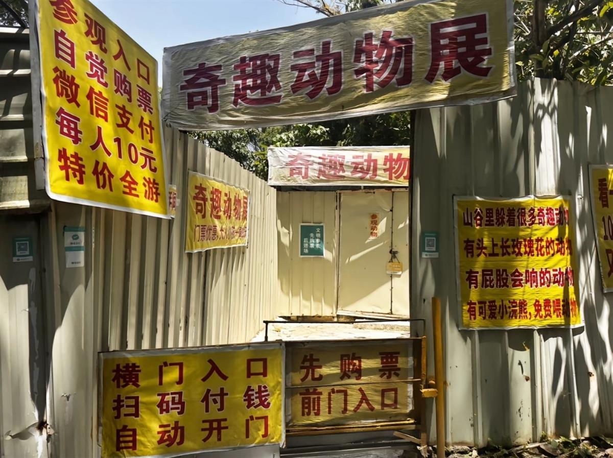 广东中山“10元动物园”园长: 五一请了好几名临时工来帮忙, 短期内不会涨价