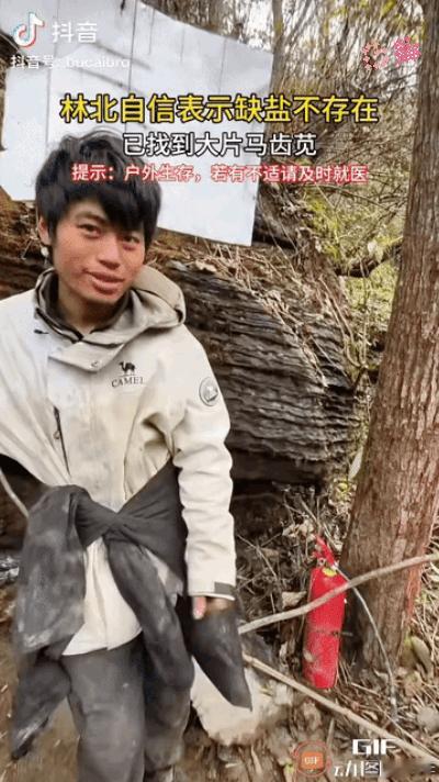 林北又丢掉了一张底牌！七星山骆驼杯求生第27天，他刚靠马齿苋解决缺盐水肿，转头就