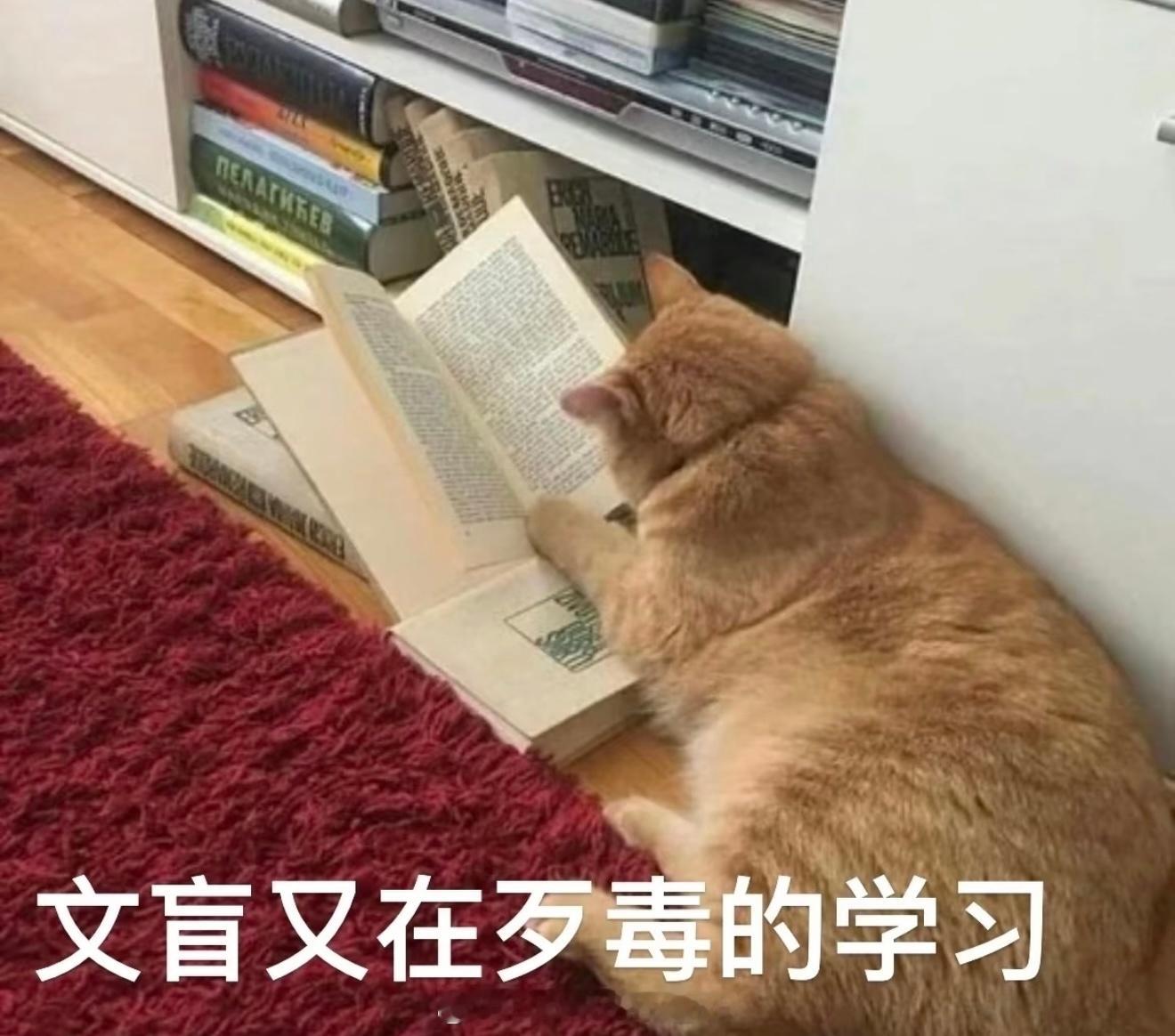 旅行居住eight字之陕甘青宁～陕西省：喜火木土可以去西安：喜水木可以去宝鸡