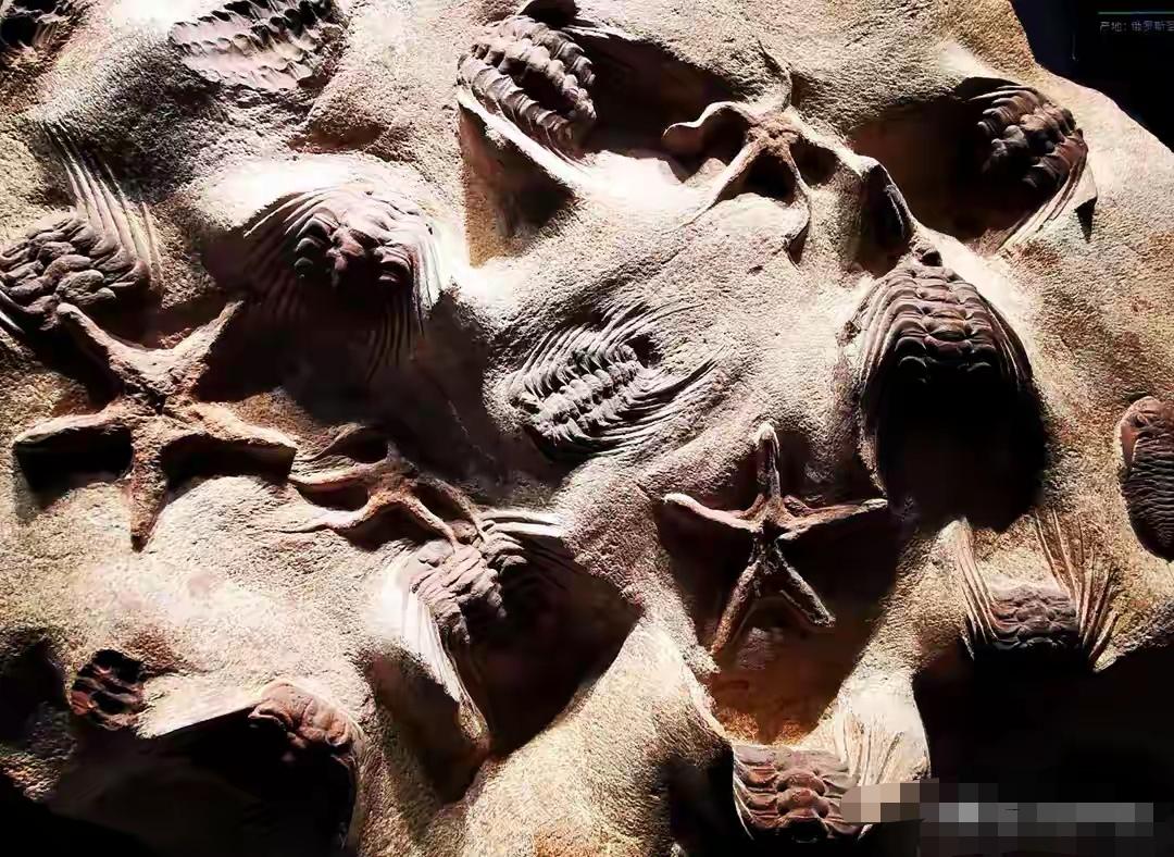 全国358家5A景区，西南七大自然遗产地里就“藏”了18家。不是一个地方只有