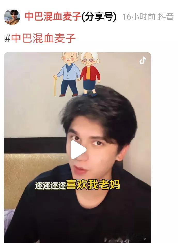 最近爆火的中巴混血麦子，一共有四个号，除了寻父版，还有日常号、分享号、分活记录等