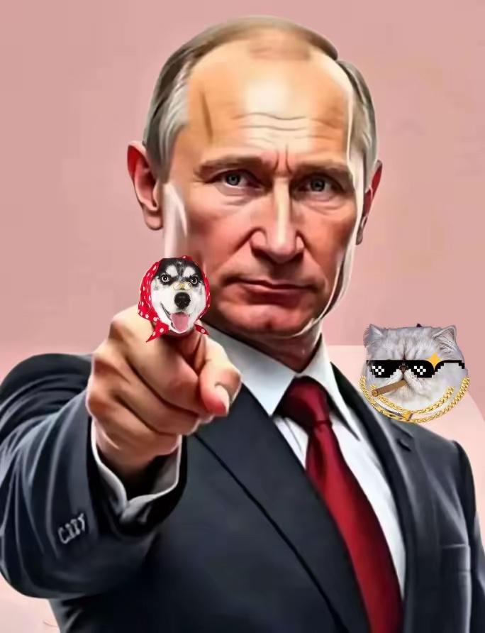 果然被猜中了。10月31日俄罗斯总统普京宣布！俄罗斯国防部当地时间10月30