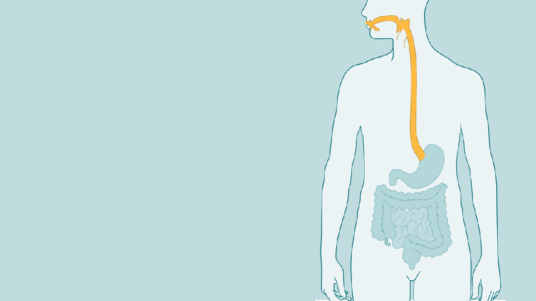 说到养肠胃，很多人首先想到白粥、面条等软烂食物，但它们并不是长期吃就能养胃的，只