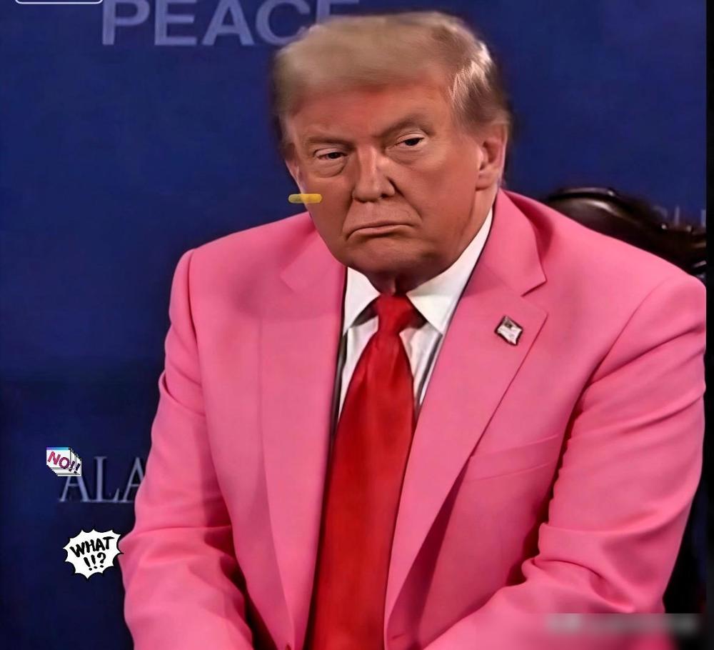 古特雷斯不参加，法国不参加，加拿大不参加，巴西不参加，中亚五国不参加…美国主导的