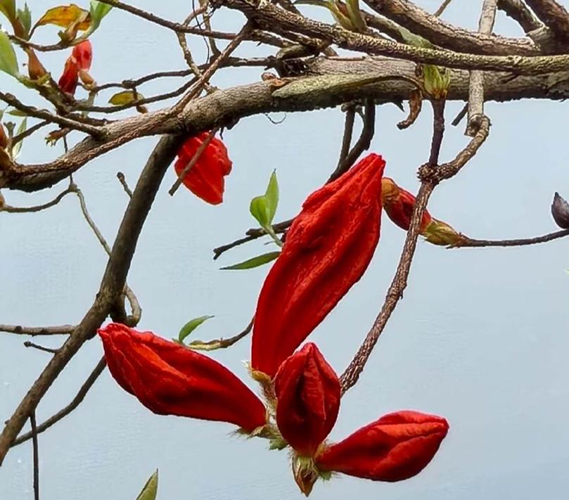 一位银行行长说出了扎心大实话：千万别再抱怨现在存款利息低了，这仅仅只是一个开端而