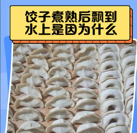 为什么饺子煮熟了会浮起来？煮饺子时有个再普通不过的现象，刚下锅的饺子一个个沉