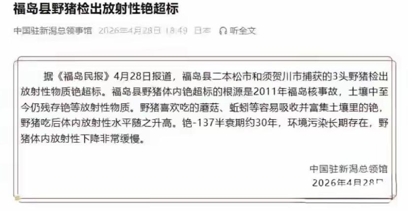 几头野猪撕碎日本所有谎言！福岛掩盖15年的真相，终于藏不住了几头野猪撕碎日本