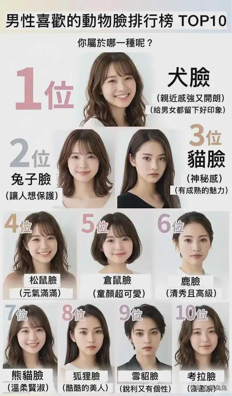 我根本分不出来