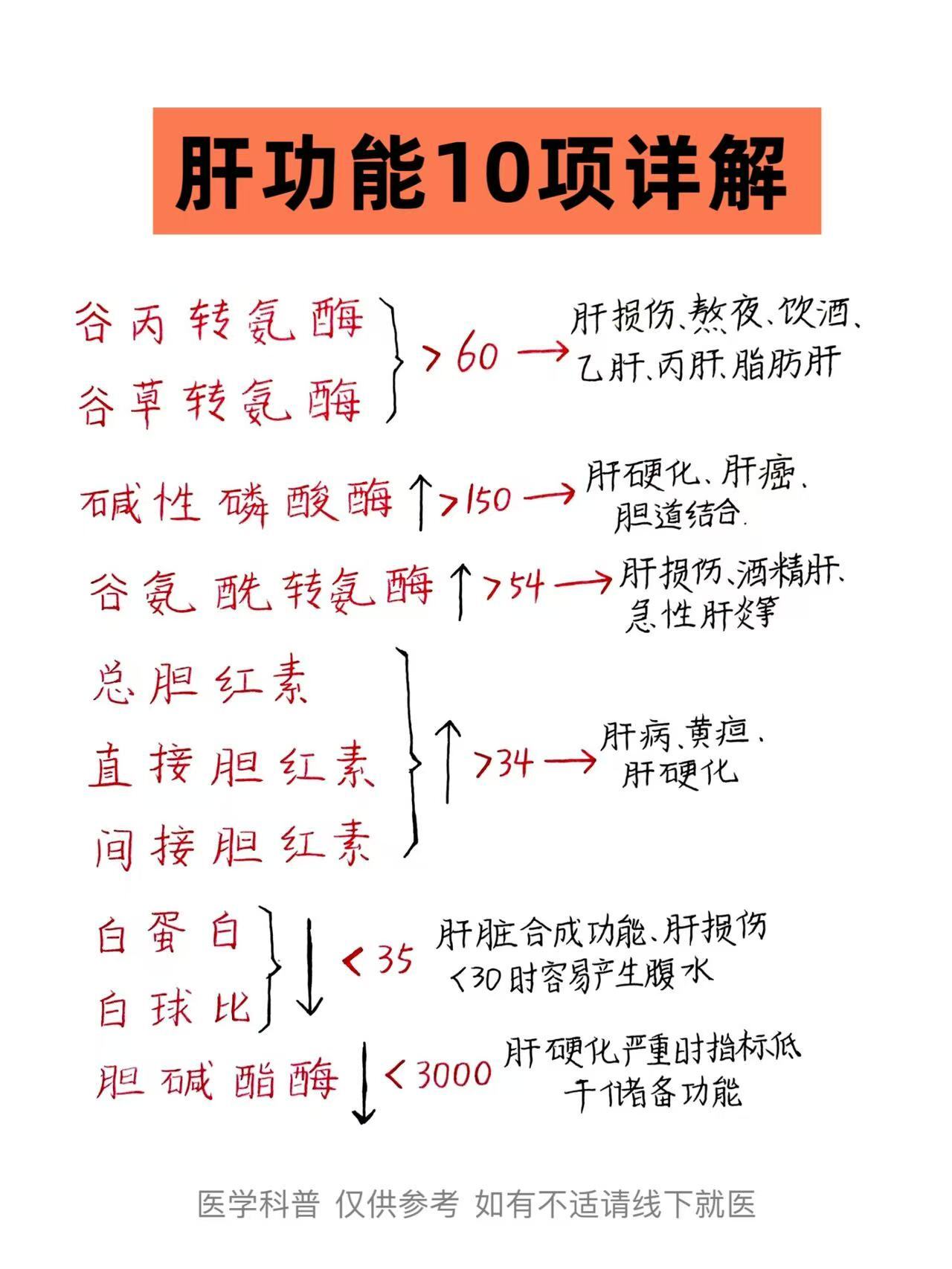 肝功能10项详解！