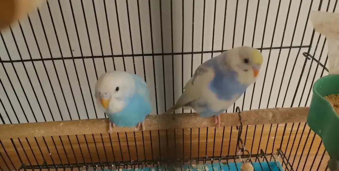 刷到一条情感语录，说男人喜欢两种女人，讨厌两种女人。喜欢的是懂事的和漂亮的，讨