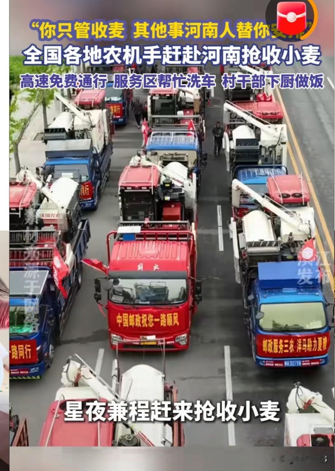 “你只管收麦，其他事河南人替你安排”全国各地农机手赶赴河南抢收小麦，高速免费通