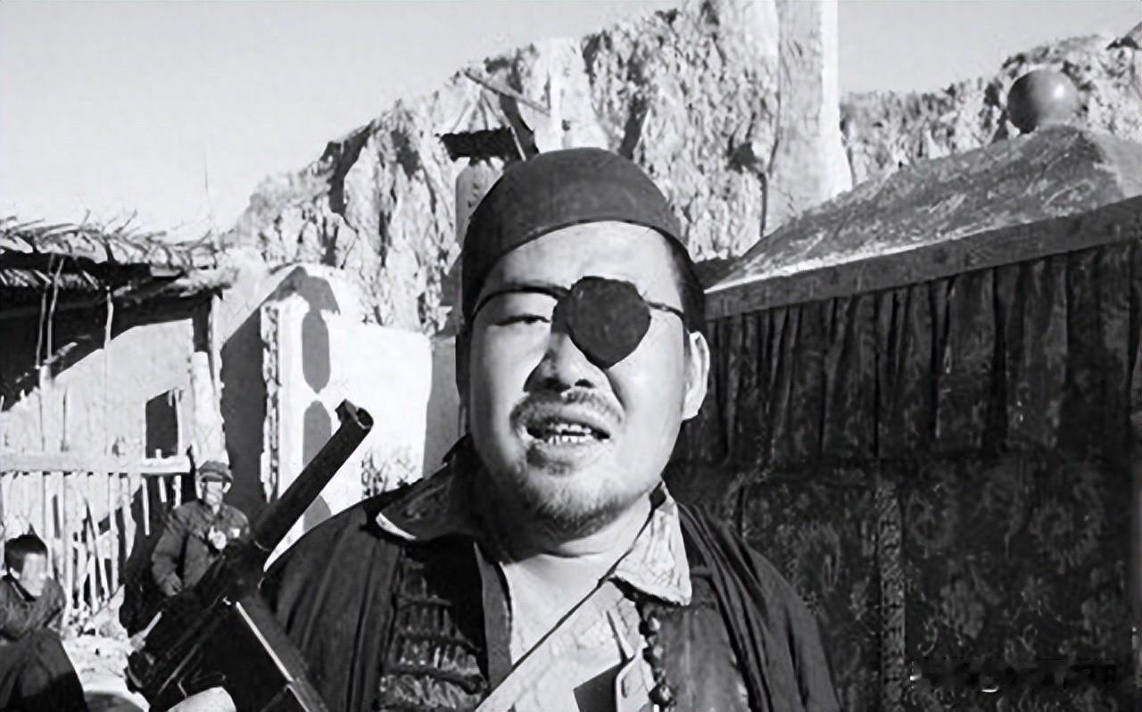 民国十七年，皖北爆发了一场要命的浩劫。两万多土匪从河南扑过来，一路烧杀抢掠，把阜