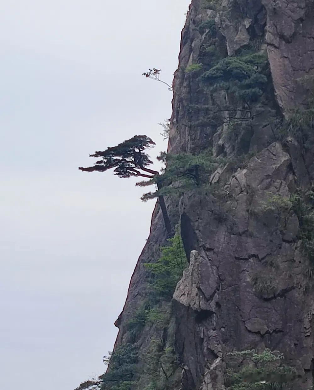 小岗村既没有地主，也没有富农。为什么会这样呢？小岗村无地主，核心问题是历史上